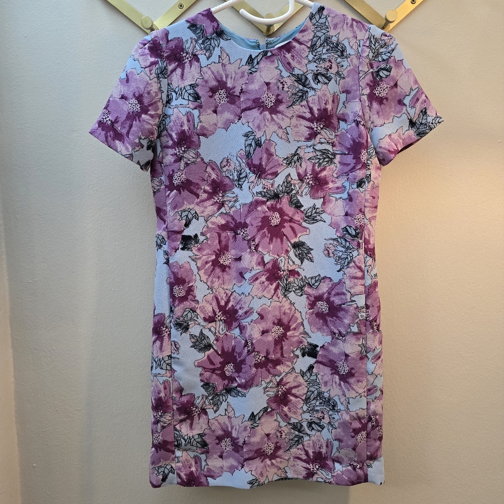 Aritzia Floral Print Dress| 00